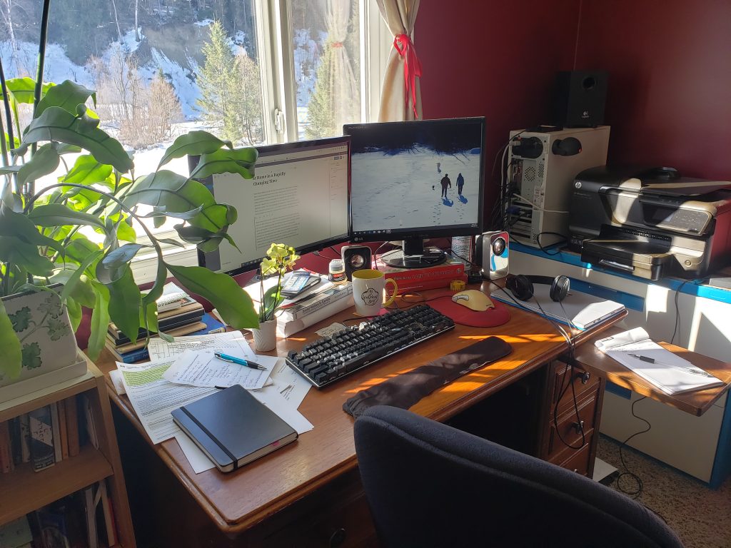 Wooden desk in the sun, red walls behind. Two computer monitors, keyboard and books and papers strewn across the desk. Sun streaming in, filtered through the large leaves of a night blooming cereus plant. Small orchid and coffee cup on desk with all the clutter.