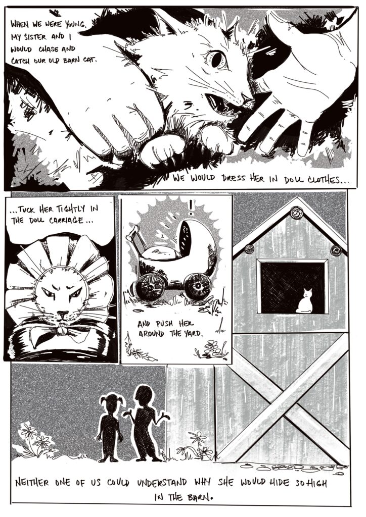 The original drawing for this was done in France in 2017 with Nomadways  during Stories We Tell. We were asked to think of an anecdote from our lives and to create a short comic about it - I have a hunch that there is another inked version somewhere else, I just don't know where. 
It's a 4 panel page. The text reads: When we were young, my sister and I would chase and catch our old barn cat. We would dress her in doll clothes, tuck her tightly in the doll carriage, and push her around the yard. Neither one of us could understand why she would hide so high in the barn.
Panel 1: close up of surprised and upset cat being grabbed by two people's hands. 
Panel 2: Angry cat face centred, with big floppy bonnet and bow. Blankets tucking the cat in are across the base of the image. 
Panel 3: Drawing of a side view of a doll carriage,  with many eminata around the carriage. No features of the cat are showing, only a blanket tightly tucked in.
Panel 4: Barn with a silhouette of a cat in the high window. Two silhouette figures of children are in the foreground, standing on the ground. The smaller one has pigtails, the larger one is shrugging.