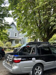 Photo of a Victorian-style house tucked into Maple and Horse Chestnut trees fully leafed out. Point of view is from across the street, with cars parked on both sides of the street in the foreground.